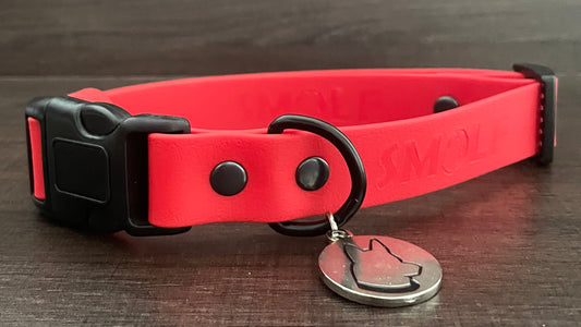 Collar Sport