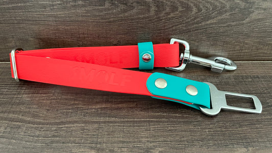 Correa Seatbelt (25mm) - Vinil