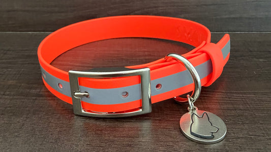 Collar Buckle Reflect (25mm) - Sin personalizar